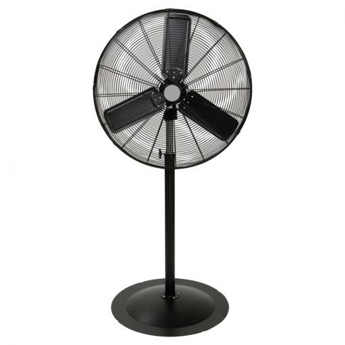 Rental - Pedestal Fan