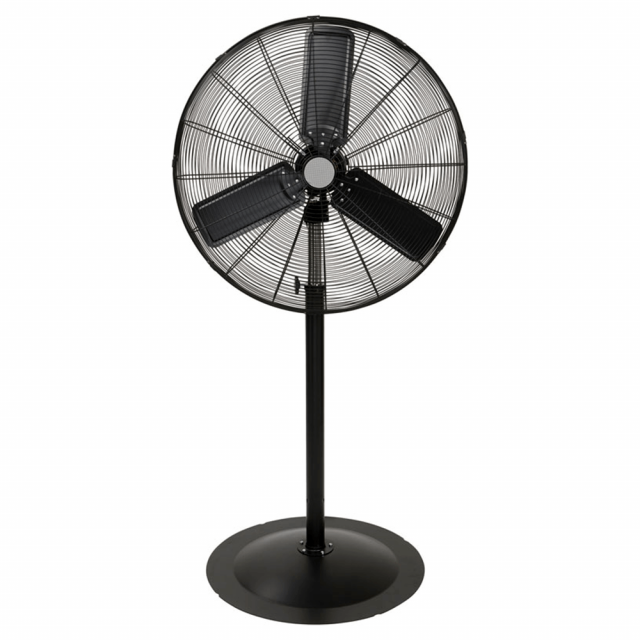Rental - Pedestal Fan